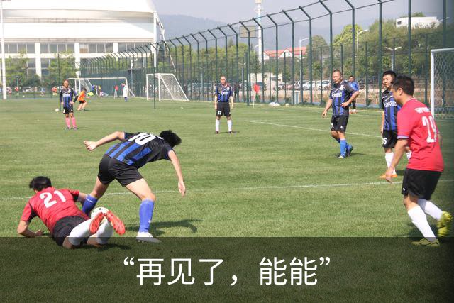 “再见了，能能”
