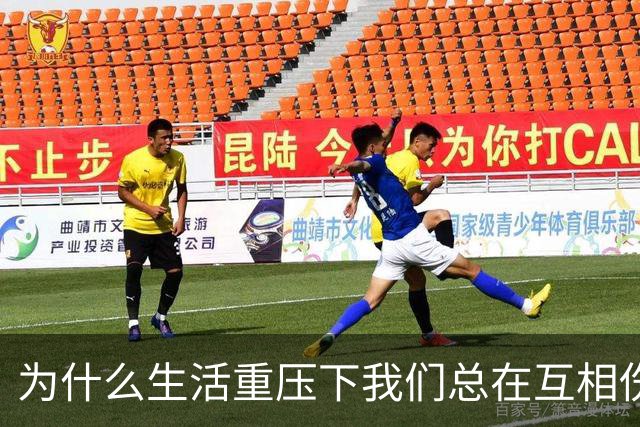 为什么生活重压下我们总在互相伤害？