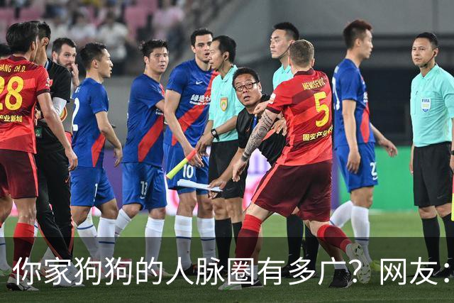 你家狗狗的人脉圈有多广？网友：我也是只认识狗不认识狗主人