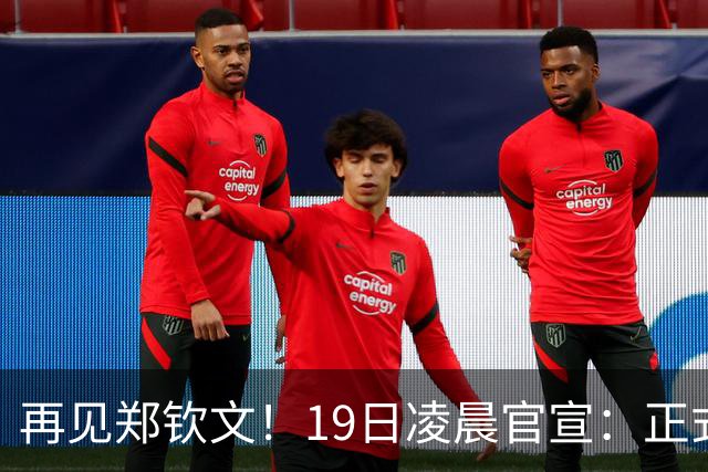 再见郑钦文！19日凌晨官宣：正式退出，赛季提前结束，孙心然入围
