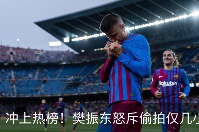 冲上热榜！樊振东怒斥偷拍仅几小时，评论区热议，这次不再一边倒