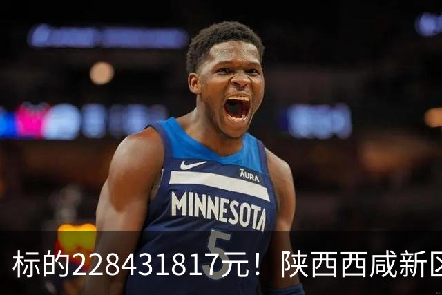 标的228431817元！陕西西咸新区发展集团有限公司新增被执行人记录