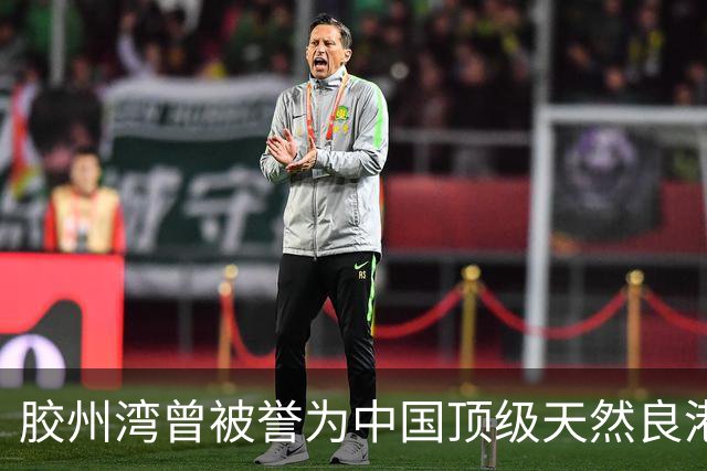 胶州湾曾被誉为中国顶级天然良港，可面对如今吃水超 23 米的 40 万吨巨轮，它还能跟上时代吗？