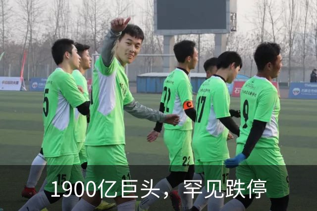 1900亿巨头，罕见跌停